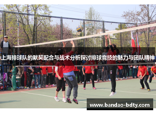 上海排球队的默契配合与战术分析探讨排球竞技的魅力与团队精神