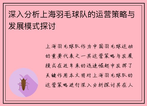 深入分析上海羽毛球队的运营策略与发展模式探讨