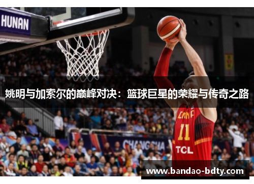 姚明与加索尔的巅峰对决：篮球巨星的荣耀与传奇之路